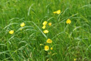 Premières photos au Beercan – 07