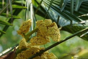 Premières photos au Beercan – 09