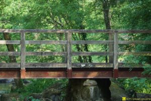 Premières photos au Beercan – 11