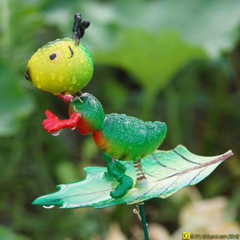 Insecte pollinisateur moderne