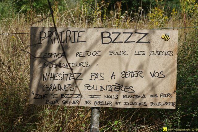 Zone de BZZZ