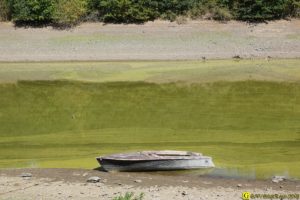 01 - Algues vertes dans un lac pour eau potable