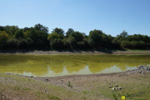 02 - Algues vertes dans un lac pour eau potable