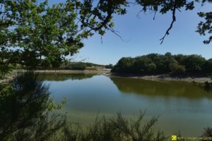 05 - Algues vertes dans un lac pour eau potable