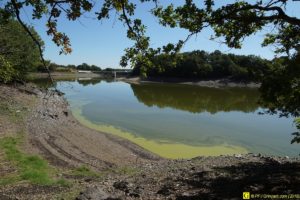 06 - Algues vertes dans un lac pour eau potable