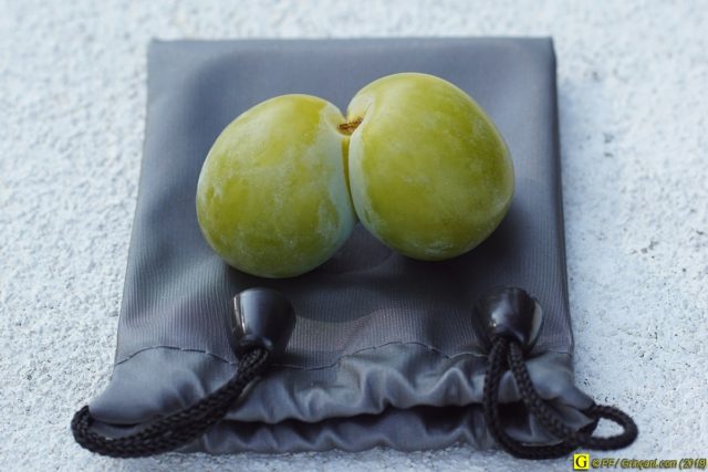 Prune pour potage gouvernemental