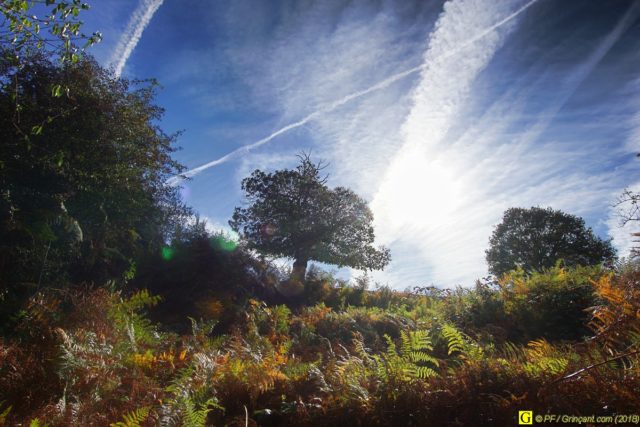 Ma belle photo du 12 octobre 2018