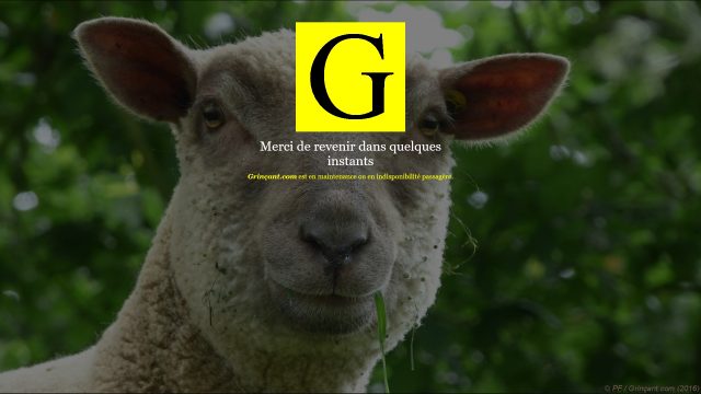 Grinçant.com — Écran de maintenance/indisponibilité