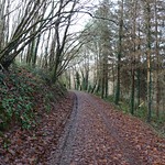 Sur mes chemins de décembre, bizarroïdes