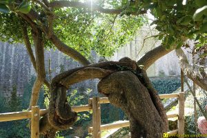 06 – Voir Clisson et avoir des Frissons