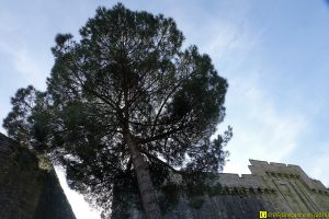 09 – Voir Clisson et avoir des Frissons