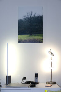 L'autel de mon arbre