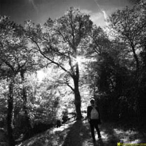 Le Début, Grisaille 00