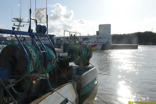 À Saint-Gilles-Croix-de-Vie,  un  10 novembre 2019 – 13