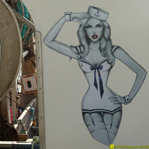 À Saint-Gilles-Croix-de-Vie,  un  10 novembre 2019 – 15