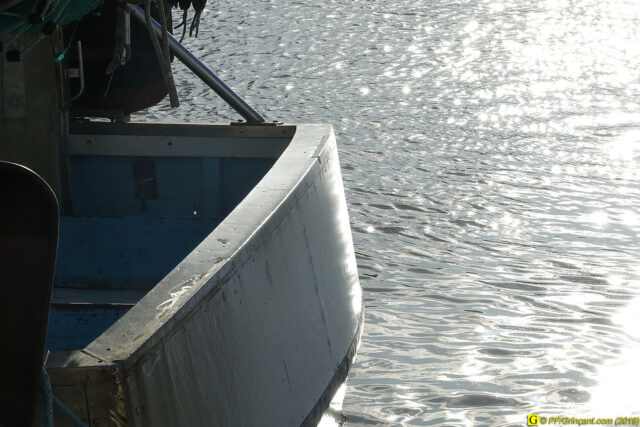 À Saint-Gilles-Croix-de-Vie,  un  10 novembre 2019 – 25