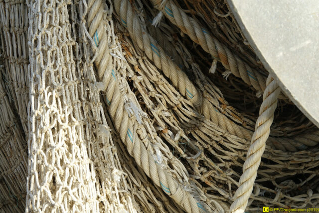 À Saint-Gilles-Croix-de-Vie,  un  10 novembre 2019 – 28