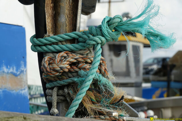 À Saint-Gilles-Croix-de-Vie,  un  10 novembre 2019 – 30