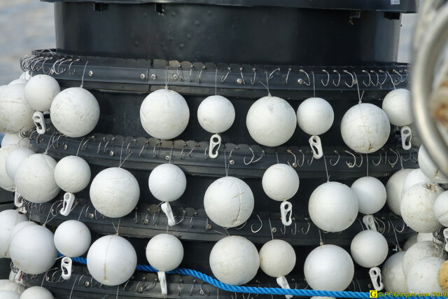 À Saint-Gilles-Croix-de-Vie,  un  10 novembre 2019 – 31