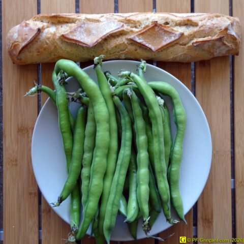 Fèves et baguette