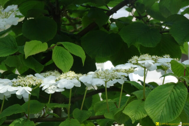 04 – Je vous déconfine dans un rayon d'un kilomètre - 14/04/2020 PM