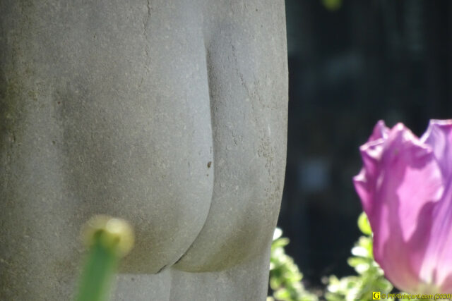 09 – Je vous déconfine dans un rayon d'un kilomètre - 14/04/2020 PM