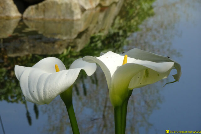 13 – Je vous déconfine dans un rayon d'un kilomètre - 14/04/2020 PM