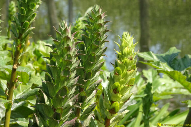 14 – Je vous déconfine dans un rayon d'un kilomètre - 14/04/2020 PM