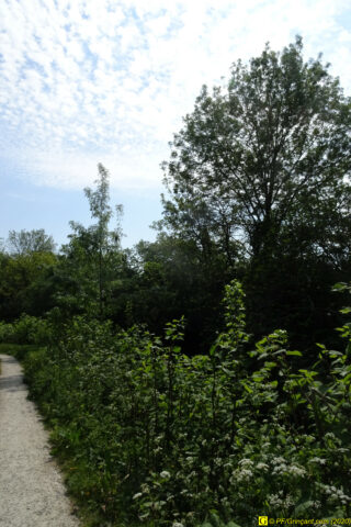 23 – Je vous déconfine dans un rayon d'un kilomètre - 14/04/2020 PM