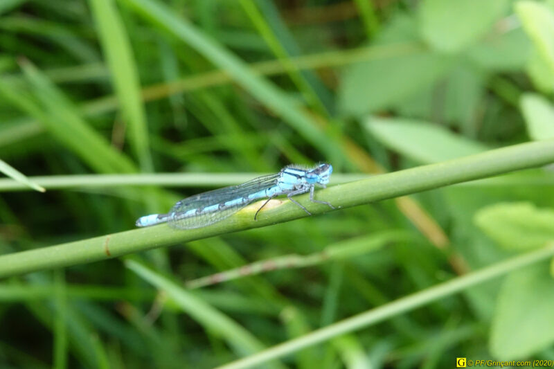 12 – Balade déconfinée en forêt