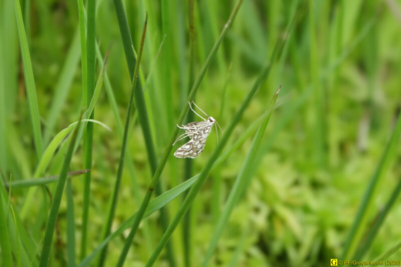 13 – Balade déconfinée en forêt
