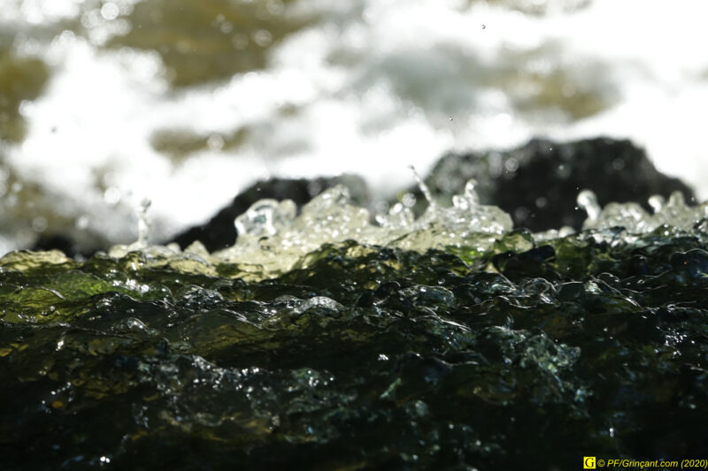 15 – Instant d'eau (1)