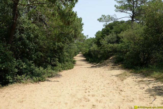 Marcher dans le sable