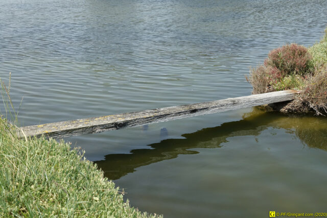 La passerelle de tous les dangers