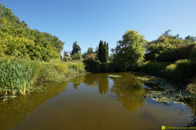 Escapade au parc floral, 09/09/2020 — N° 4