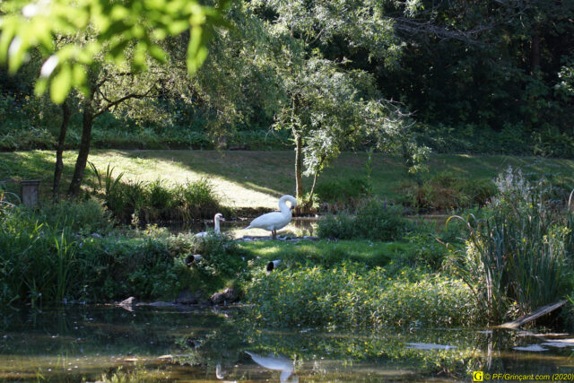 Escapade au parc floral, 09/09/2020 — N° 19