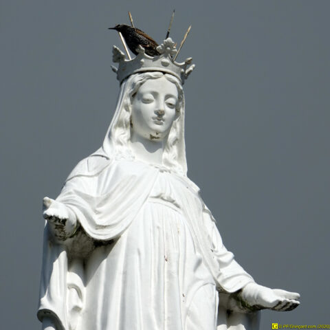 La vierge et son étourneau