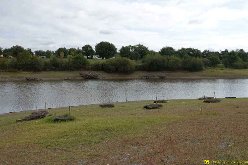 Frayères à poissons, à sec