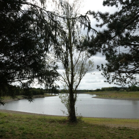 Il y a le Covid au lac Le lac