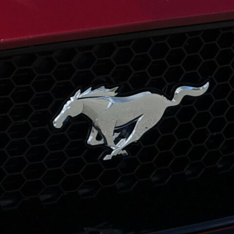 Mustang en plein lâcher-prise