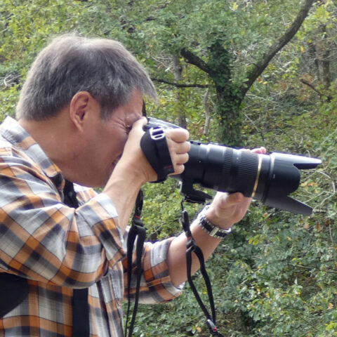 PF/Grinçant, un objectif, des moutons, un arbre, des ruines