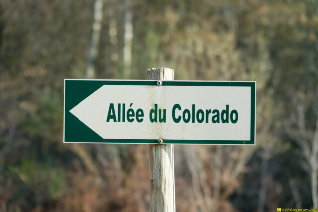 25/11/2020 — Balade en forêt — 13