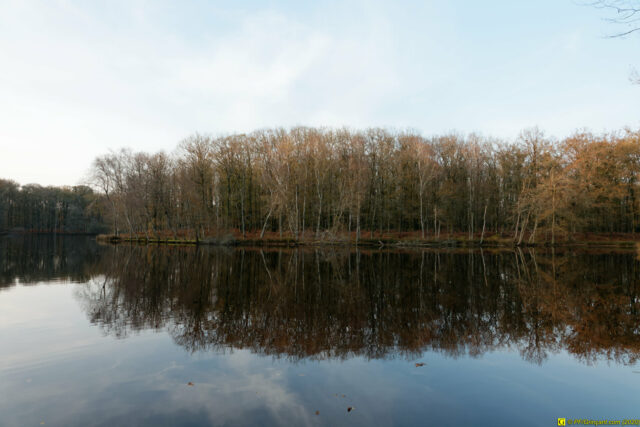 25/11/2020 — Balade en forêt — 22