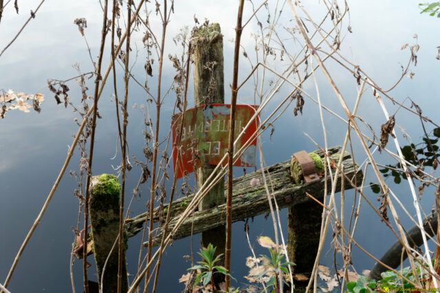 25/11/2020 — Balade en forêt — 23