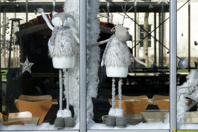 20/11/2020 — Balade en ville — 5