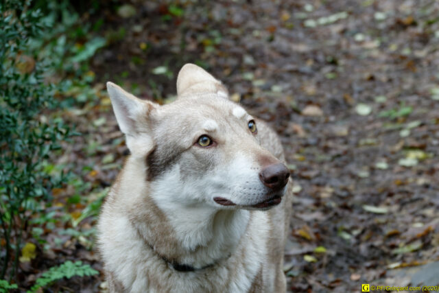 8 – Faut y aller !