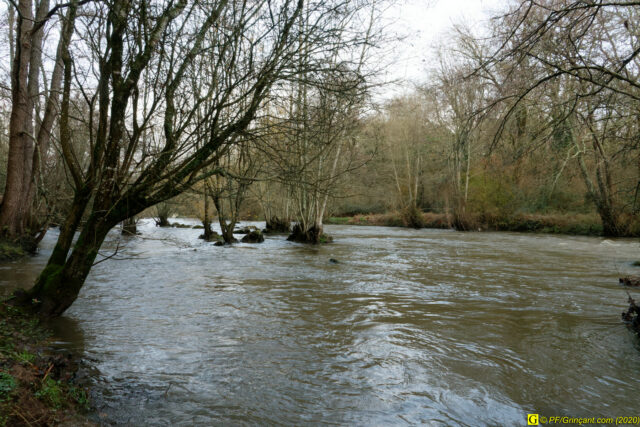 10 – Arbres en résistance