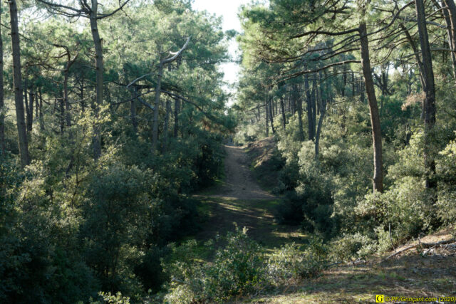 01 - Escapade du 29 novembre 2020 — Moments complotistes