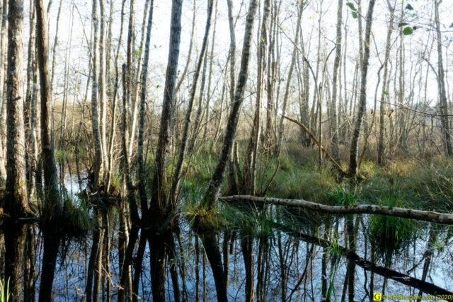 02 - Escapade du 29 novembre 2020 — Moments complotistes