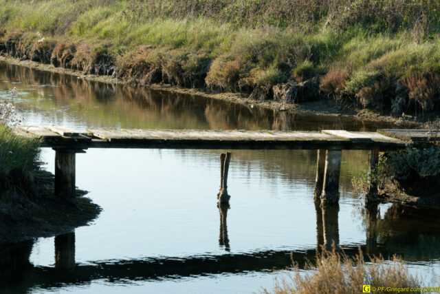 03 - Escapade du 29 novembre 2020 — Moments complotistes